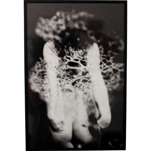 Cuadro vintage Mouvements Naturels 02 de Meïdhy Bichon, 2019