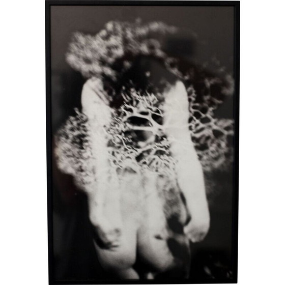 Image 1 of Dipinto vintage Mouvements Naturels 02 di Meïdhy Bichon, 2019