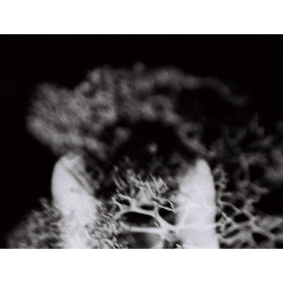 Image 1 of Dipinto vintage Mouvements Naturels 02 di Meïdhy Bichon, 2019