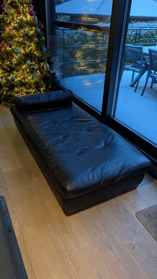 Natuzzi Dagbed