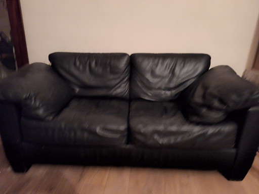 De Sede 2-Seater Sofa Ds 17