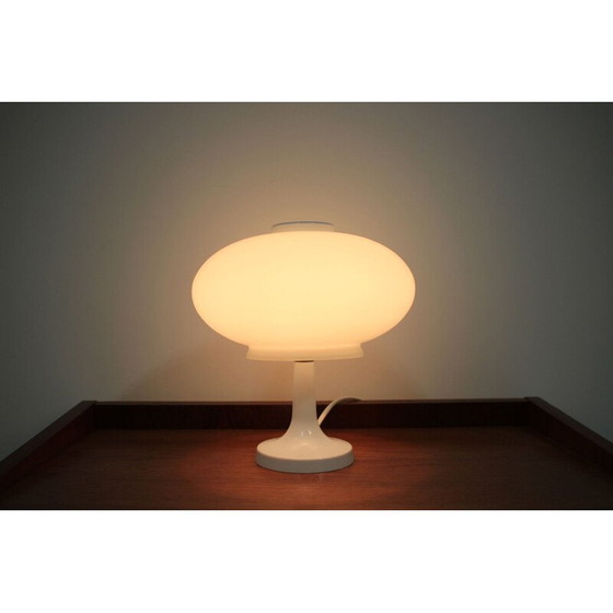 Image 1 of Lampada vintage in vetro lattimo di Valašské Meziříčí, Repubblica Ceca, 1970