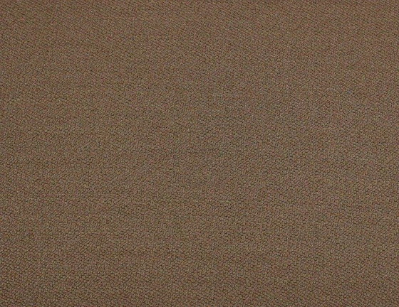 Image 1 of Fogia Tondo Armchair Design Stefan Borselius