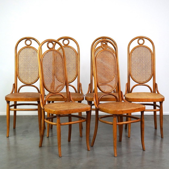 Image 1 of 6 x tall vintage light brown bentwood Thonet chair model "long John/ Long John"