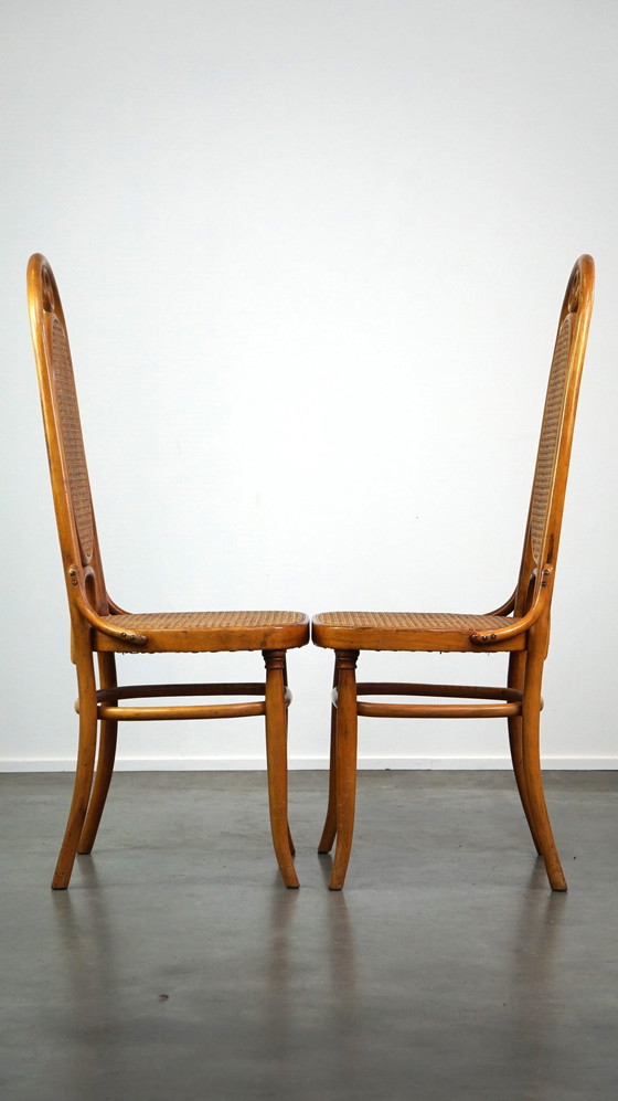 Image 1 of 6 x tall vintage light brown bentwood Thonet chair model "long John/ Long John"