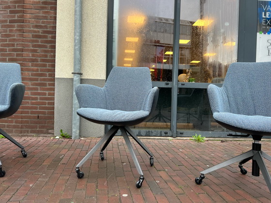 Image 1 of 4x Bert Plantagie Chaise en érable bleu