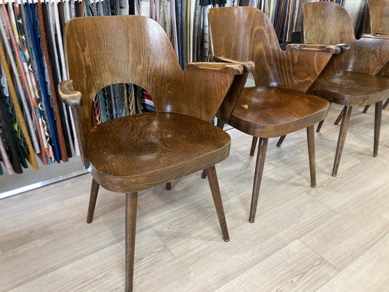 Image 1 of Fauteuil Oswald Haerdtl Modèle 515 | 5 pièces