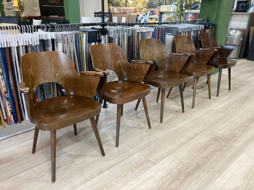 Armchair Oswald Haerdtl Model 515 | 5 pieces