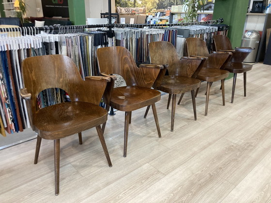 Image 1 of Armchair Oswald Haerdtl Model 515 | 5 pieces