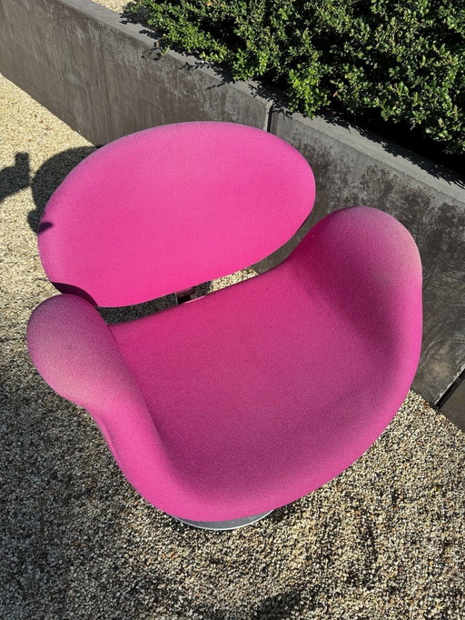 Artifort Little Tulip Swivel Chair Magenta