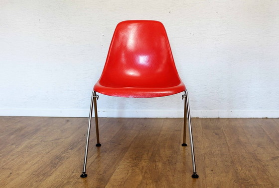 Image 1 of 4× fiberglass STELLA chairs