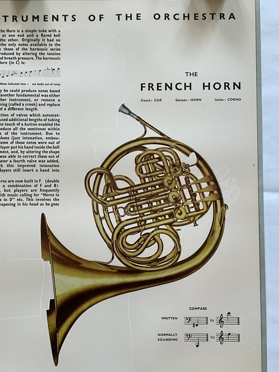 Image 1 of Vintage Poster by Boosey & Hawkes - The French Horn
