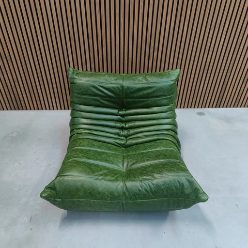 Ligne Roset Togo Dubai Green Leather