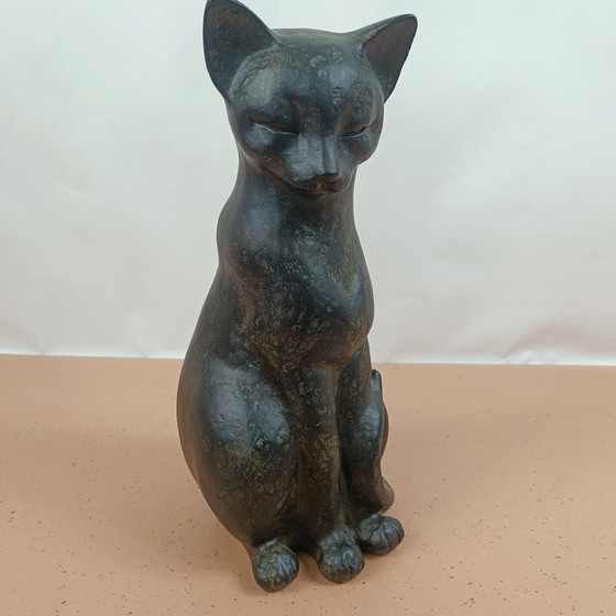Image 1 of Image Of Cat - By Design Austin Productions