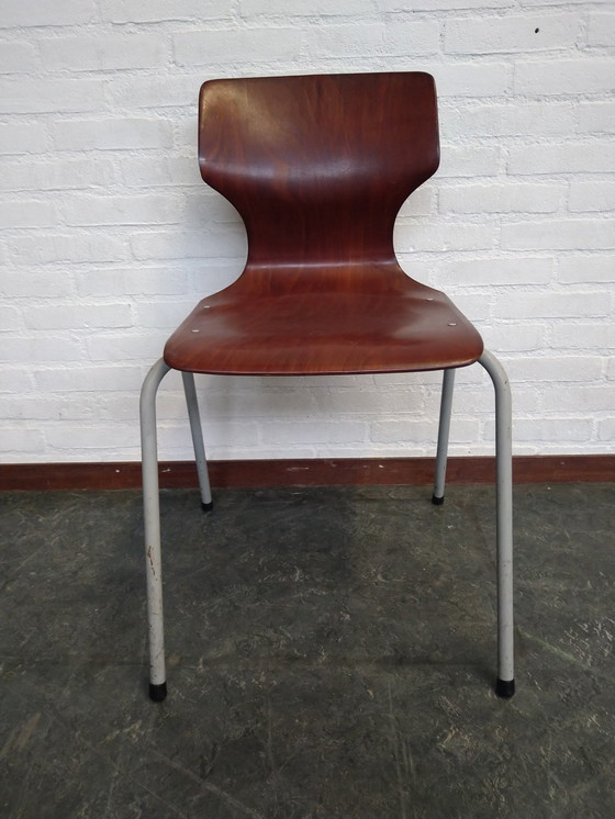 Image 1 of  4X Chairs From Flötotto Pagholz