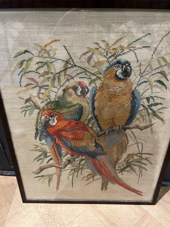 Image 1 of Vintage Parrot Embroidery