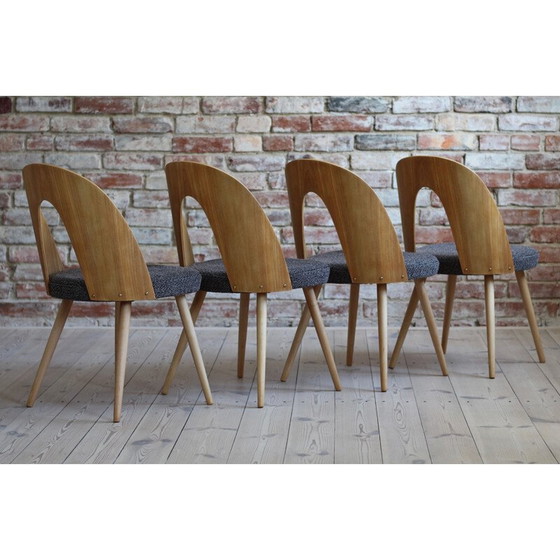 Image 1 of Set of 10 mid century dining chairs by A.Šuman, 1960s