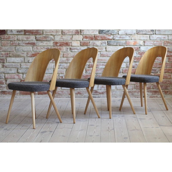 Image 1 of Set of 10 mid century dining chairs by A.Šuman, 1960s