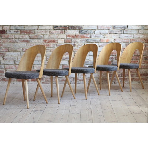 Image 1 of Set of 10 mid century dining chairs by A.Šuman, 1960s