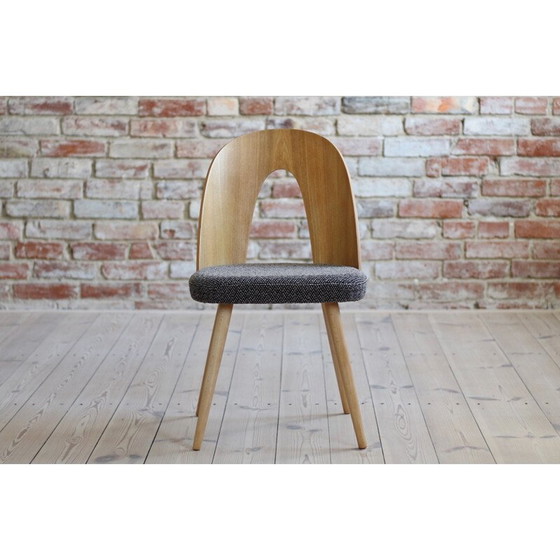 Image 1 of Set of 10 mid century dining chairs by A.Šuman, 1960s