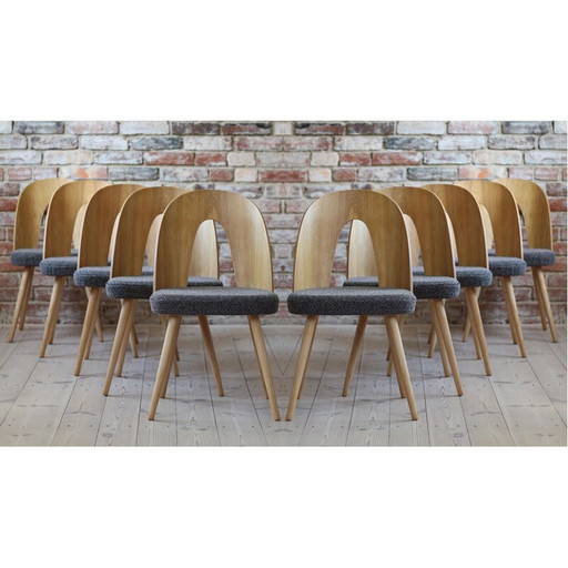 Set of 10 mid century dining chairs by A.Šuman, 1960s