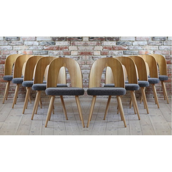 Image 1 of Set of 10 mid century dining chairs by A.Šuman, 1960s