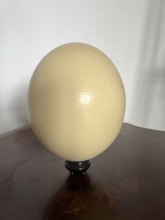 Image 1 of Antique ostrich egg