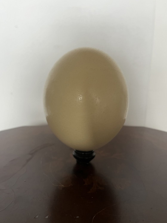 Image 1 of Antique ostrich egg