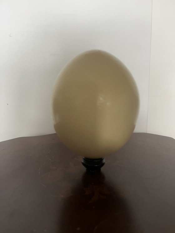 Image 1 of Antique ostrich egg