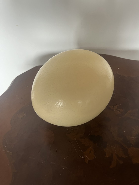 Image 1 of Antique ostrich egg