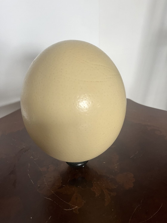 Image 1 of Antique ostrich egg