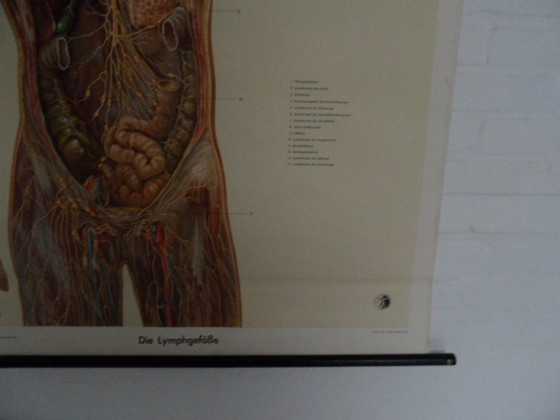 Image 1 of Mapa escolar antiguo