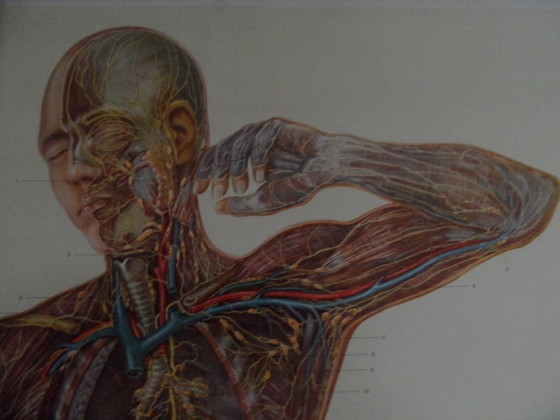 Image 1 of Mapa escolar antiguo