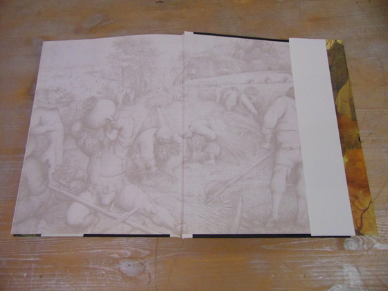 Image 1 of Bruegel photo book