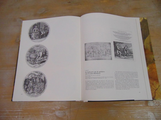 Image 1 of Bruegel photo book