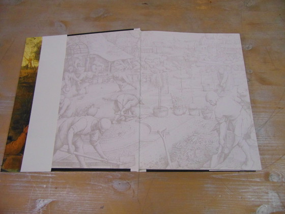 Image 1 of Bruegel photo book