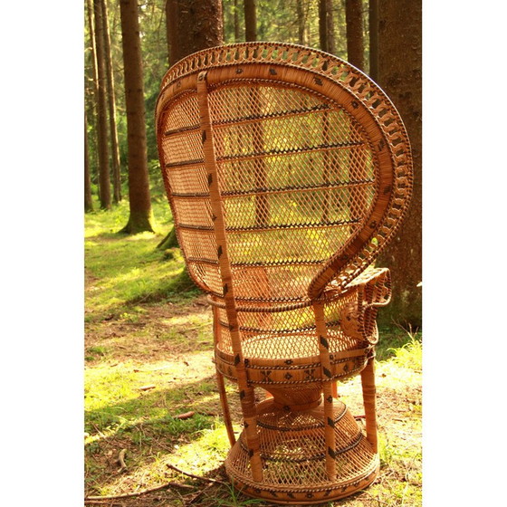 Image 1 of Vintage Emmanuelle Peacock Chair Italy 1970s