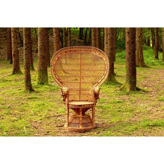 Image 1 of Vintage Emmanuelle Peacock Chair Italy 1970s