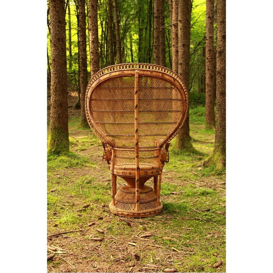 Image 1 of Vintage Emmanuelle Peacock Chair Italy 1970s