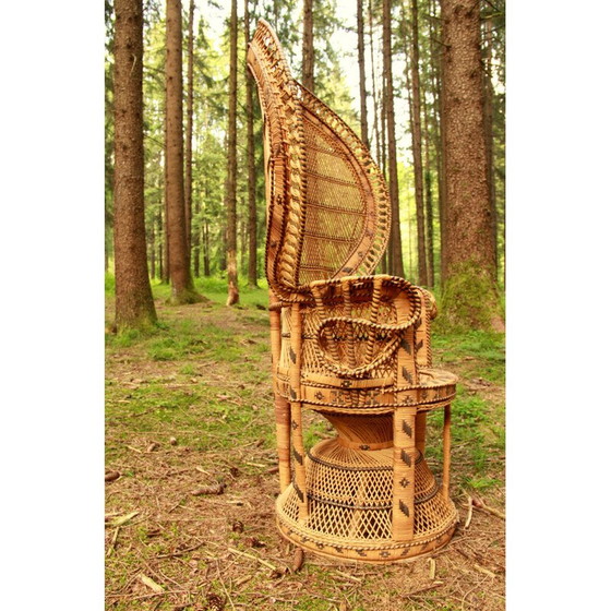 Image 1 of Vintage Emmanuelle Peacock Chair Italy 1970s