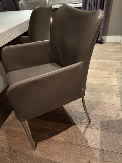 8X Bert Plantagie Dining Chairs