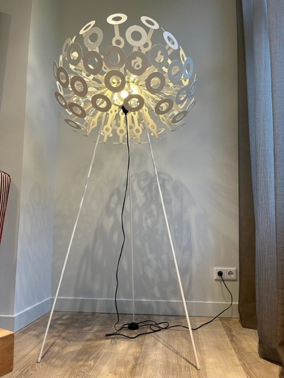 Image 1 of Moooi dandelion lamp