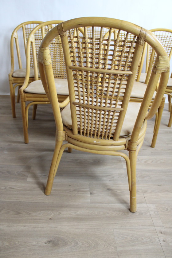 Image 1 of 6x DUX Rattan chairs with removable leather cushions 1960