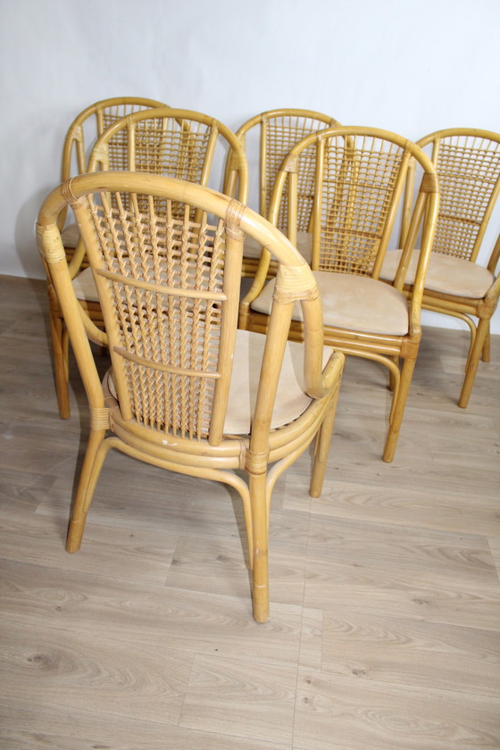 Image 1 of 6x Chaises rotin de DUX coussins cuir amovibles 1960