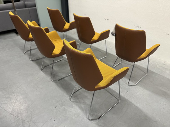 Image 1 of 6 Leolux Mime Dining Chairs Yellow Fabric Brown Leather