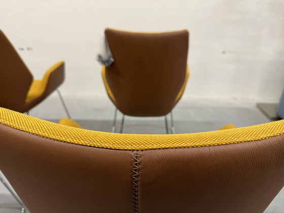 Image 1 of 6 Leolux Mime Dining Chairs Yellow Fabric Brown Leather