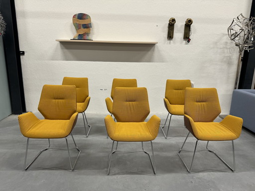 6 Leolux Mime Dining Chairs Yellow Fabric Brown Leather