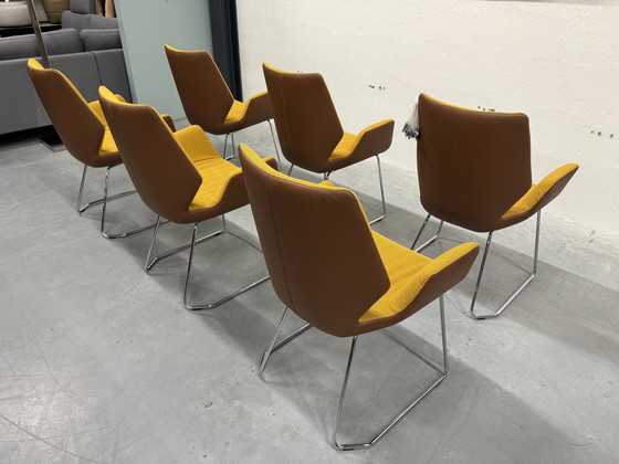 Image 1 of 6 Leolux Mime Dining Chairs Yellow Fabric Brown Leather