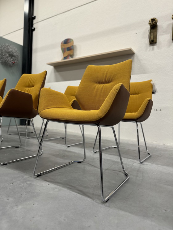 Image 1 of 6 Leolux Mime Dining Chairs Yellow Fabric Brown Leather