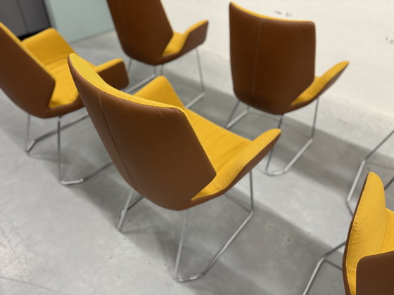 Image 1 of 6 Leolux Mime Dining Chairs Yellow Fabric Brown Leather